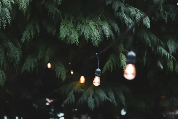 Festoon Lighting - Image 3